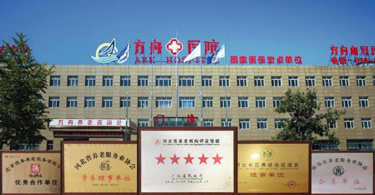 麻将胡了2 2025年11月最新北京绿通